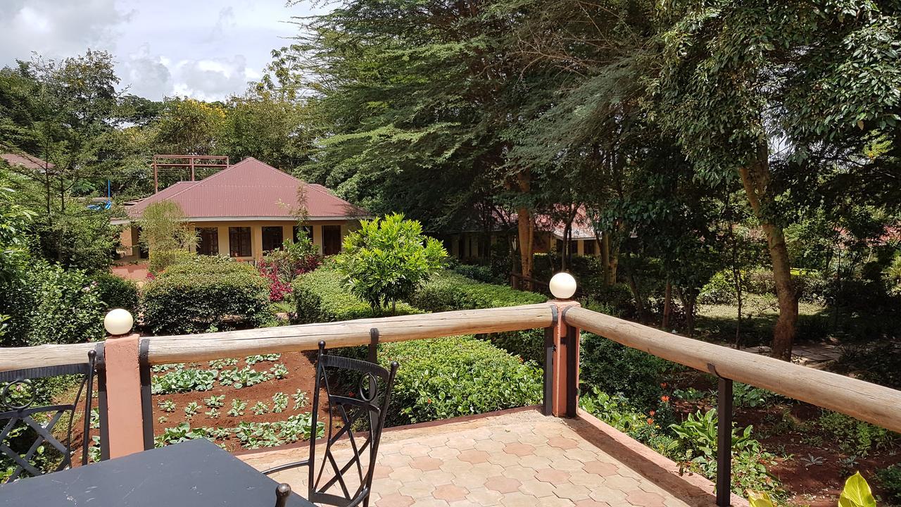 Eileen'S Trees Inn 卡拉图 外观 照片