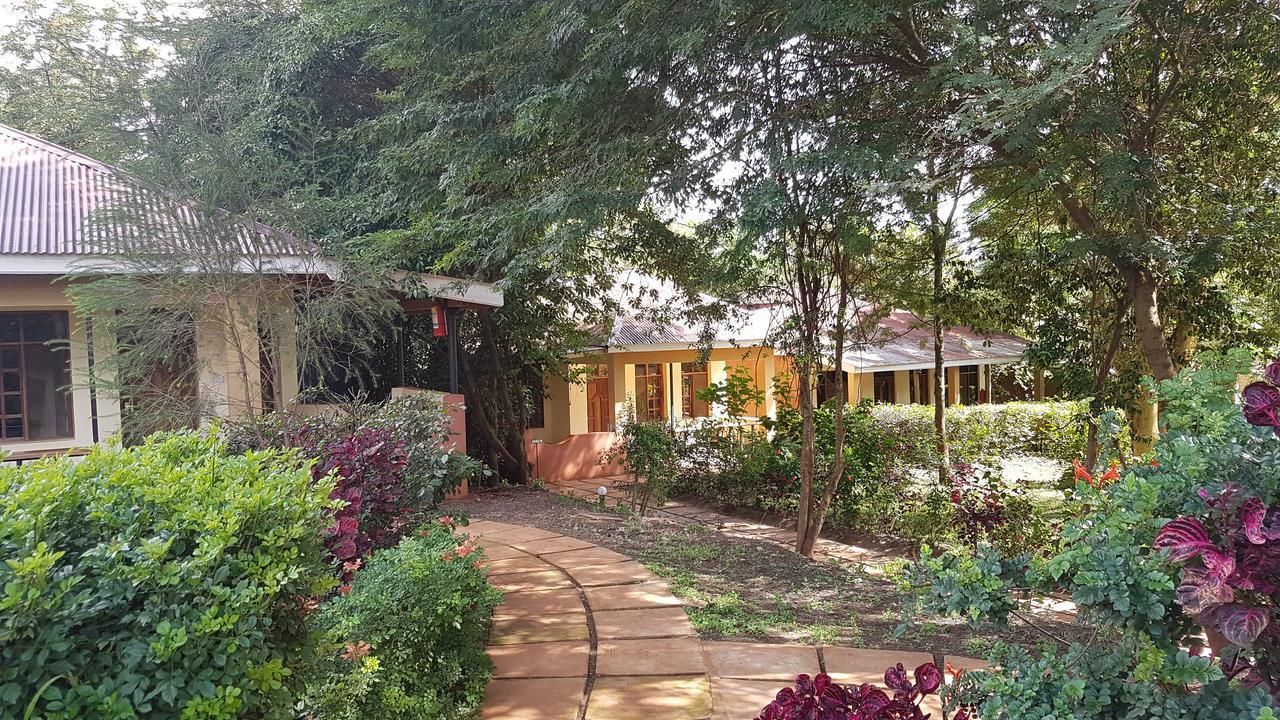 Eileen'S Trees Inn 卡拉图 外观 照片